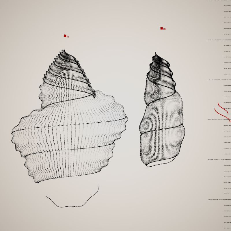 Two Specimen #145