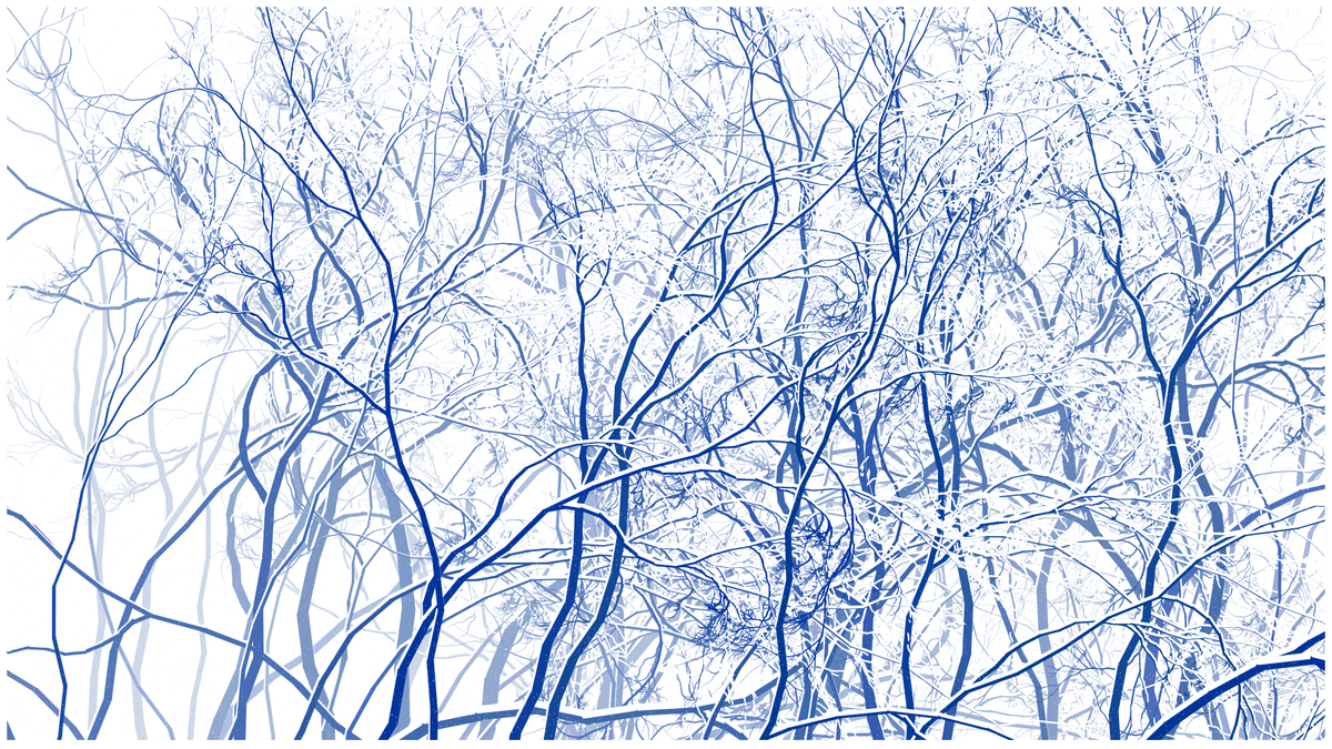 SCHNEEWALD #60