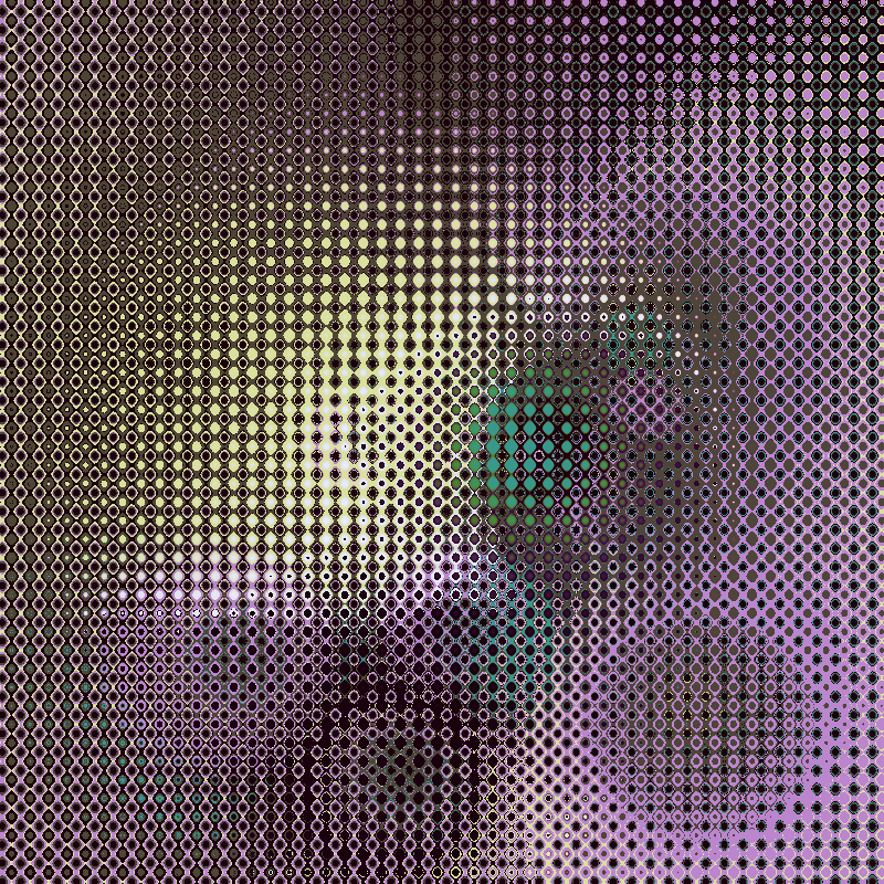 Focus #31