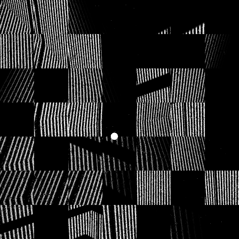 CARBON #5