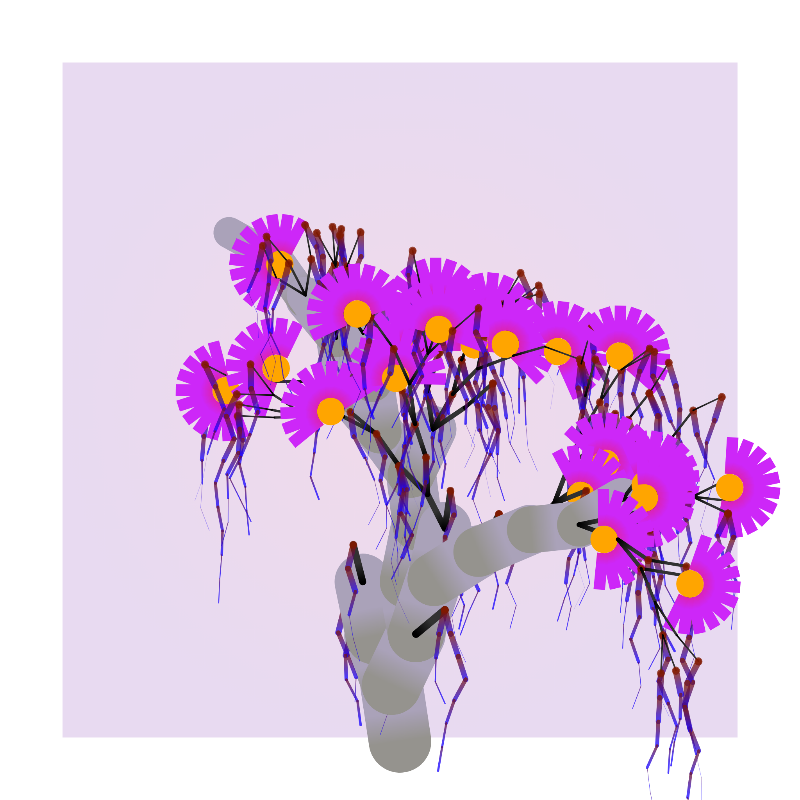 Some generative trees #23