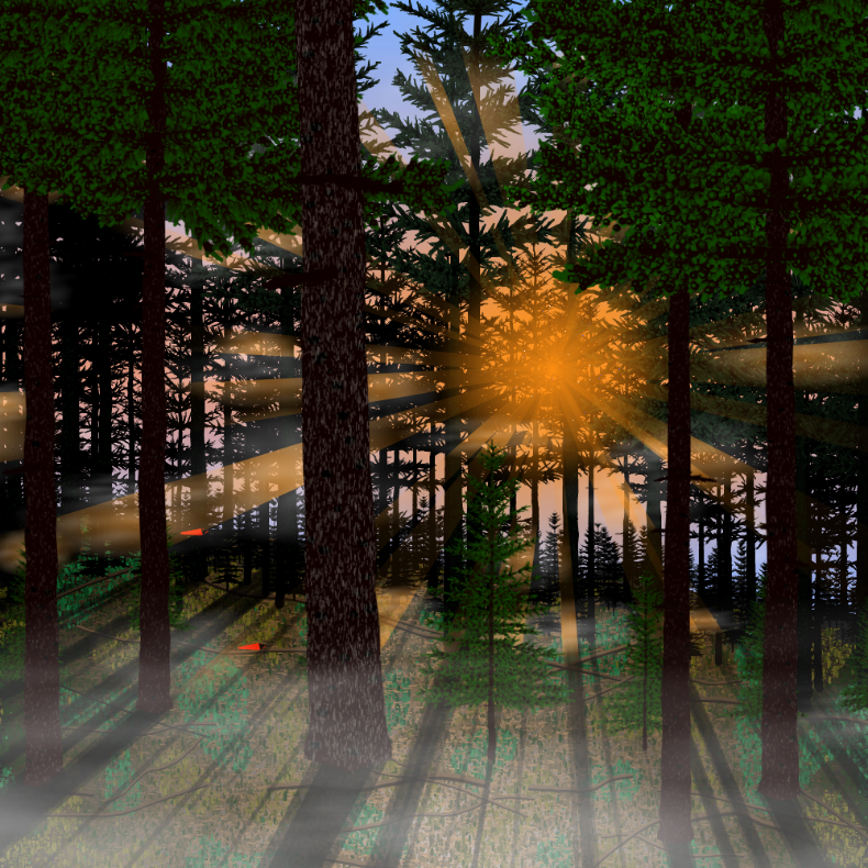 Forest Sunrise #36