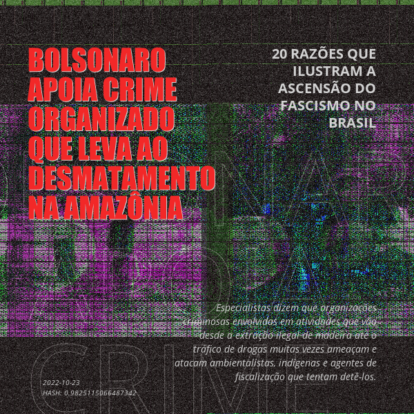 B4D - Brazil4Democracy #12