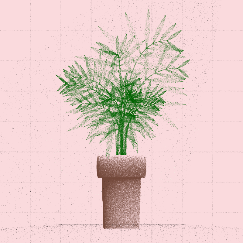 🌱 Potted & Printed #590