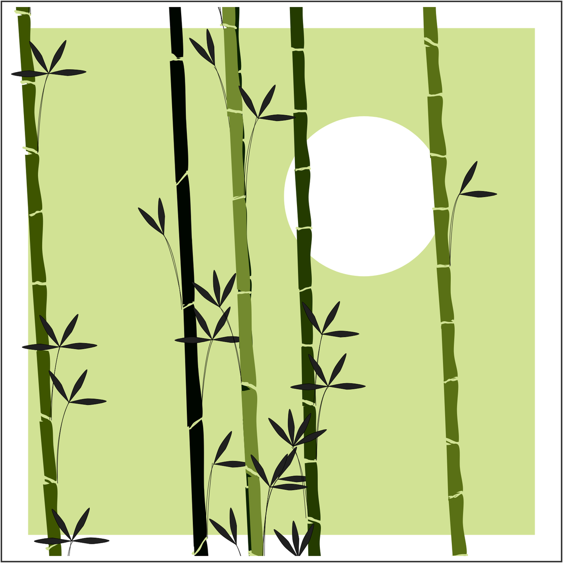 Bamboo and Beyond #13