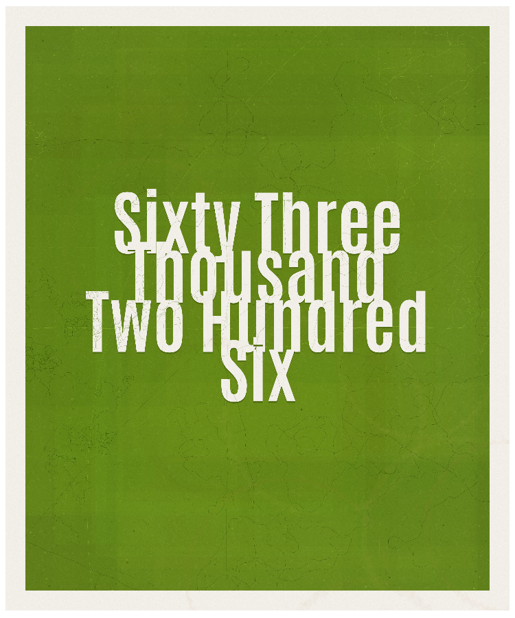 Count #63206