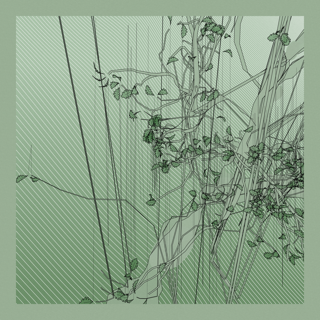 A Bugged Forest #509