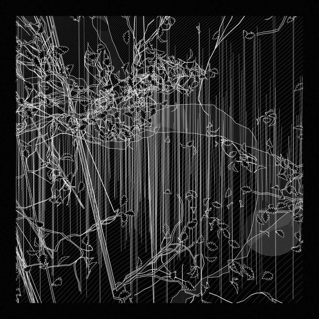 A Bugged Forest #836