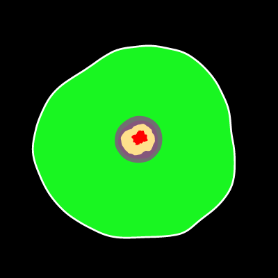 Black Hole Cell #9