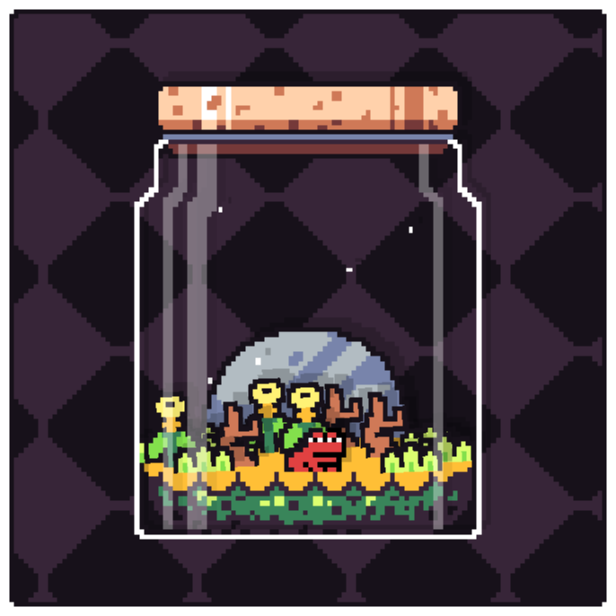 Toad Terrarium #244