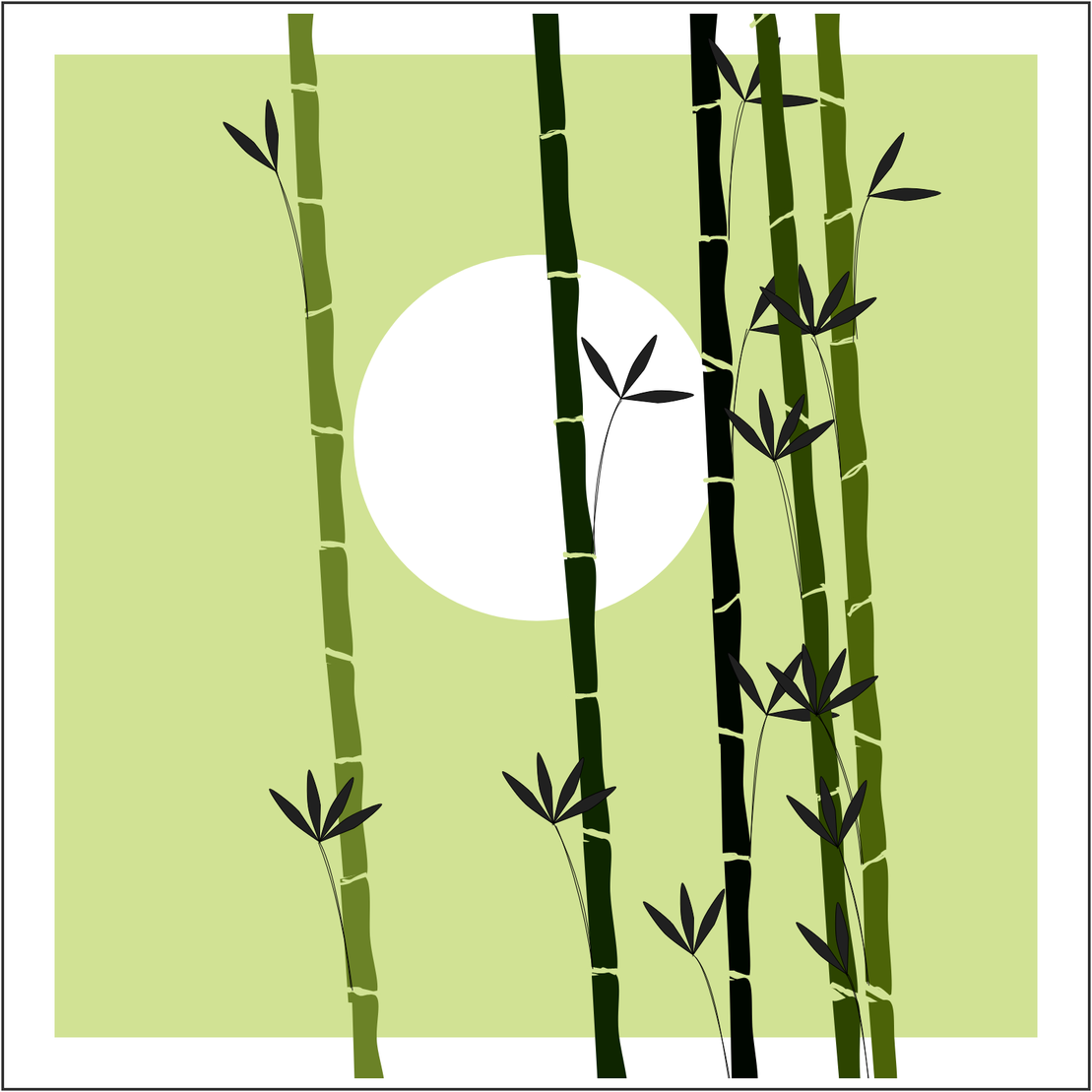 Bamboo and Beyond #3