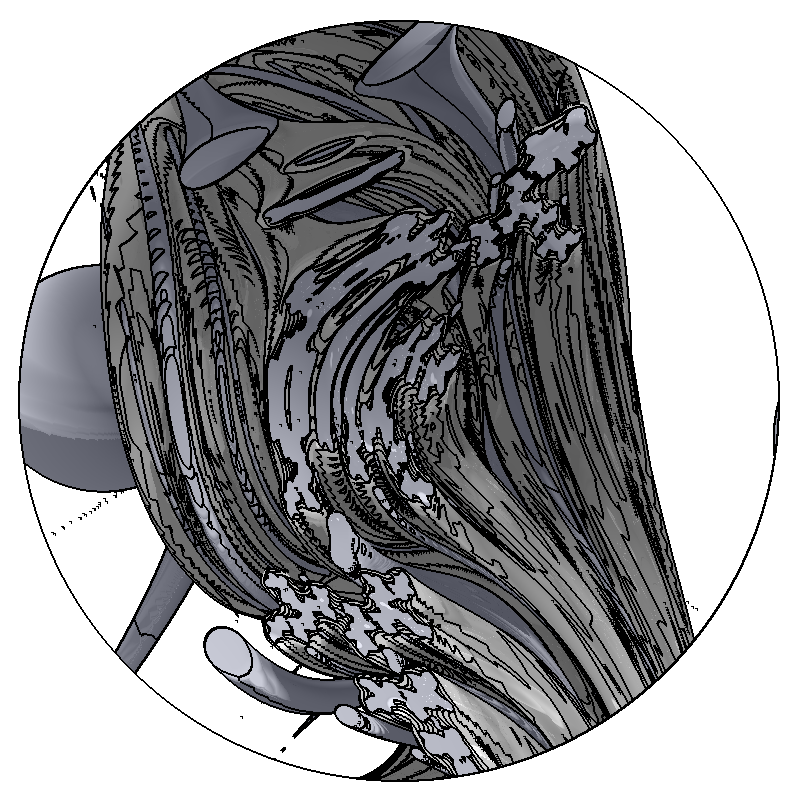 LL21 Anatomy #37