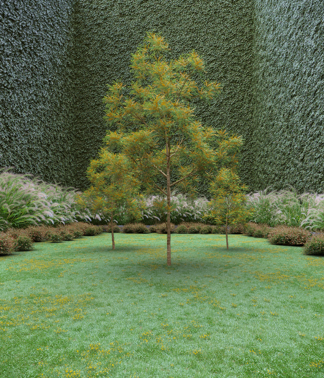 Garden of Imagination #9
