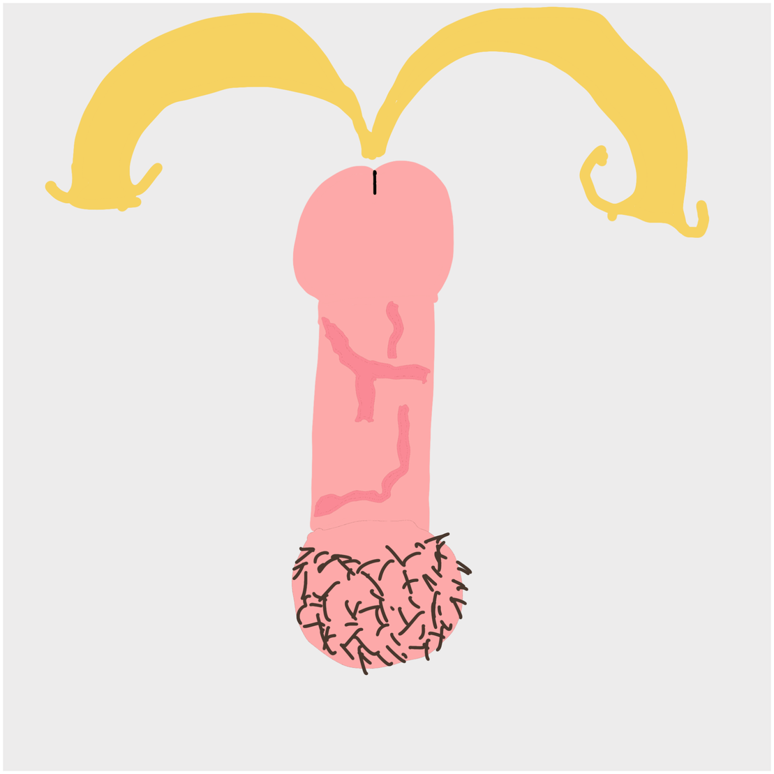 Dickgenerative Art #55
