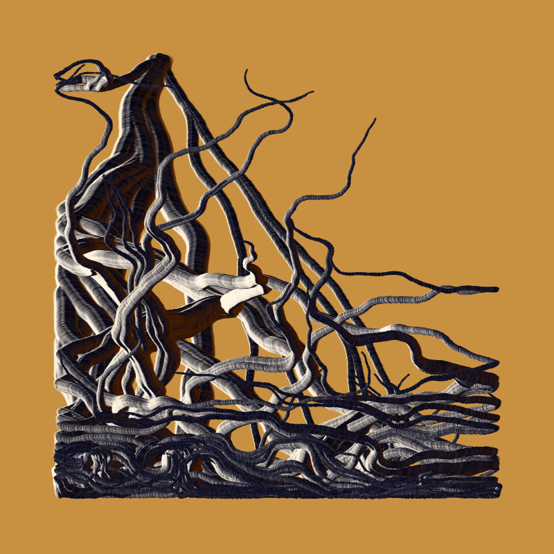 Root #12
