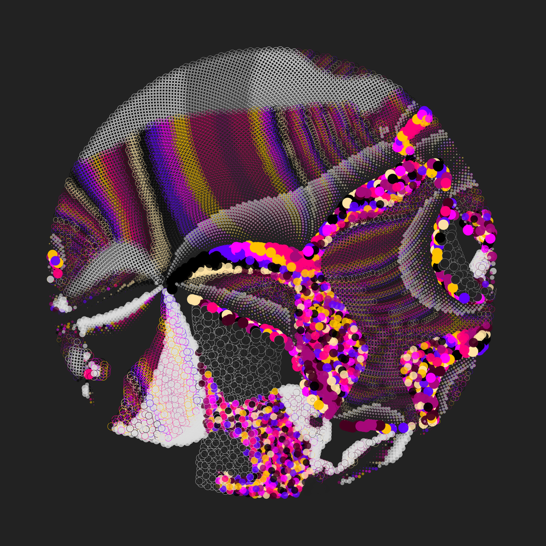 Still C #24203