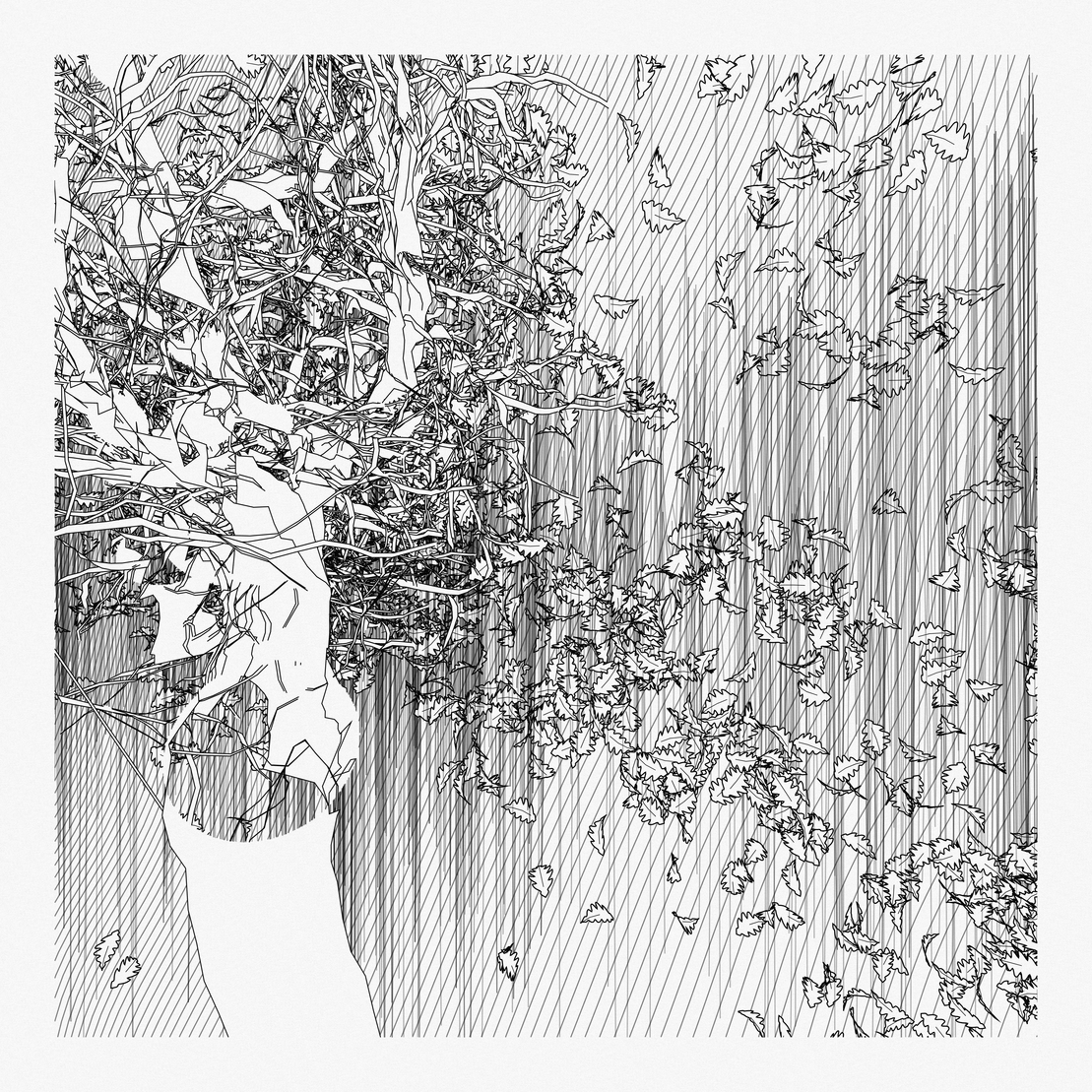 A Bugged Forest #853