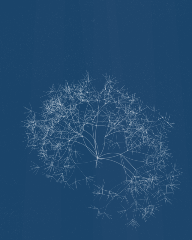 Cyanotypes #264