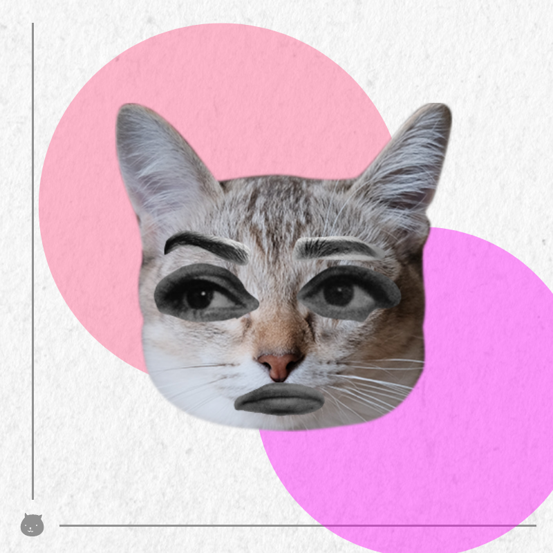 Kittenstein #34
