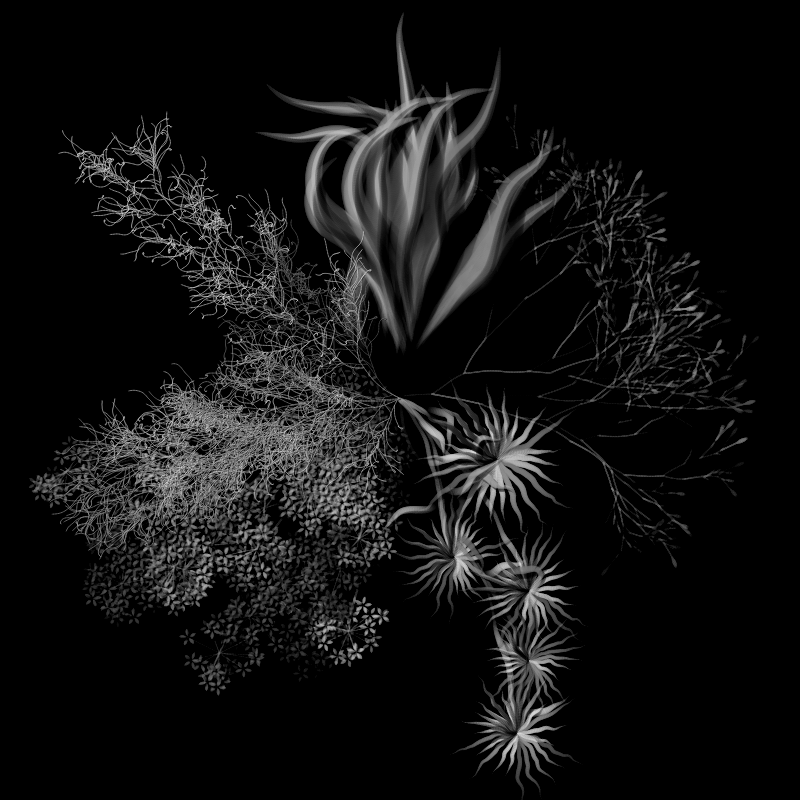 Botanical Ghosts #63