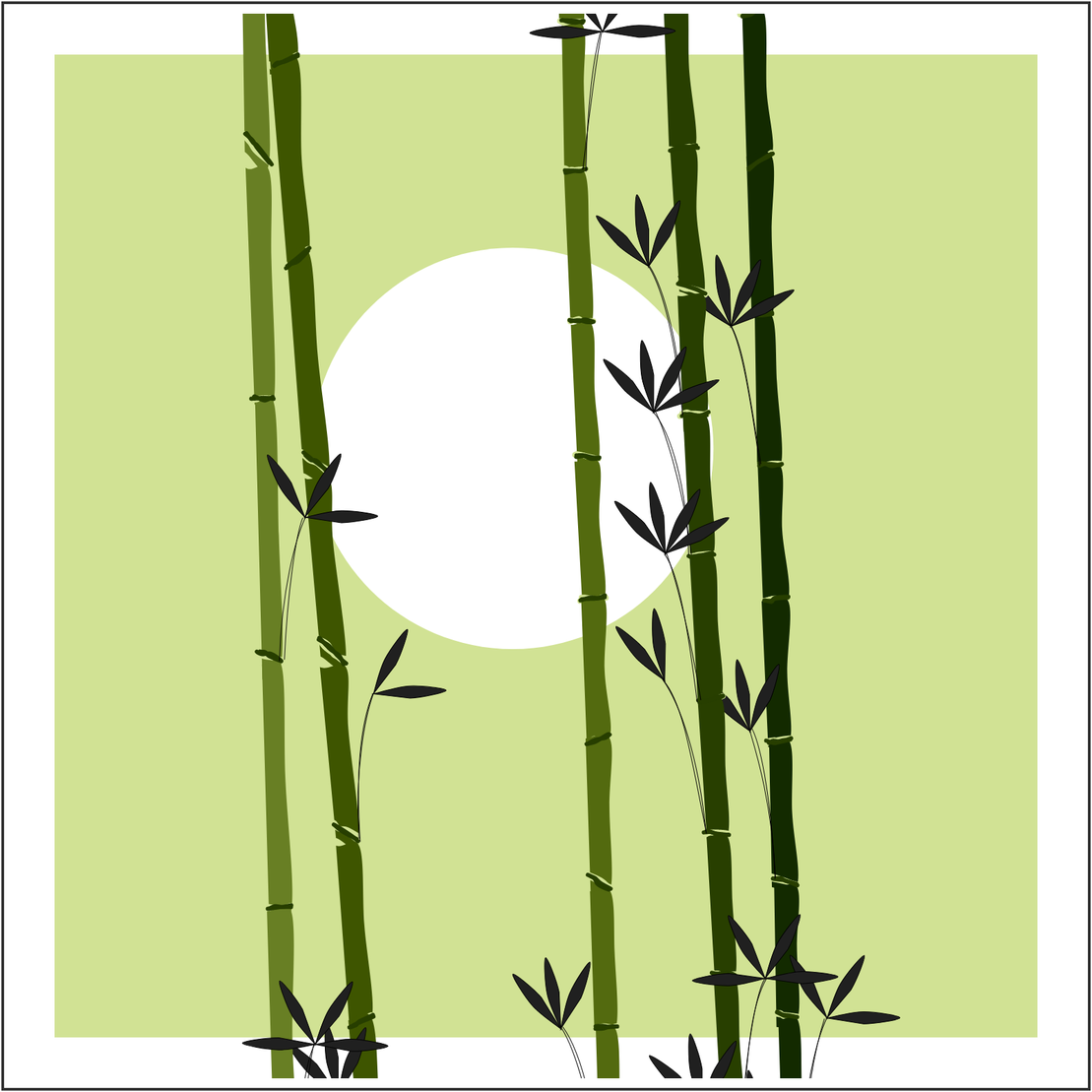 Bamboo and Beyond #28