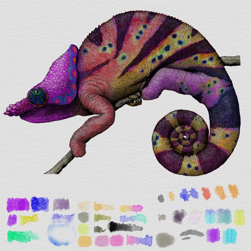 Colorful Cameleon #20