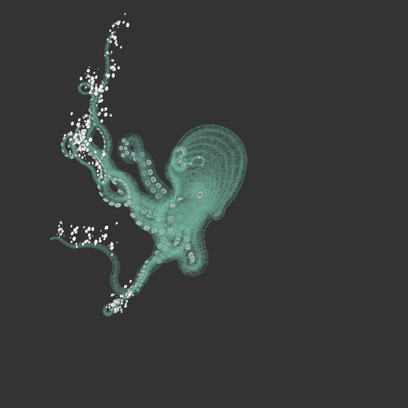 the generative octopuses #53