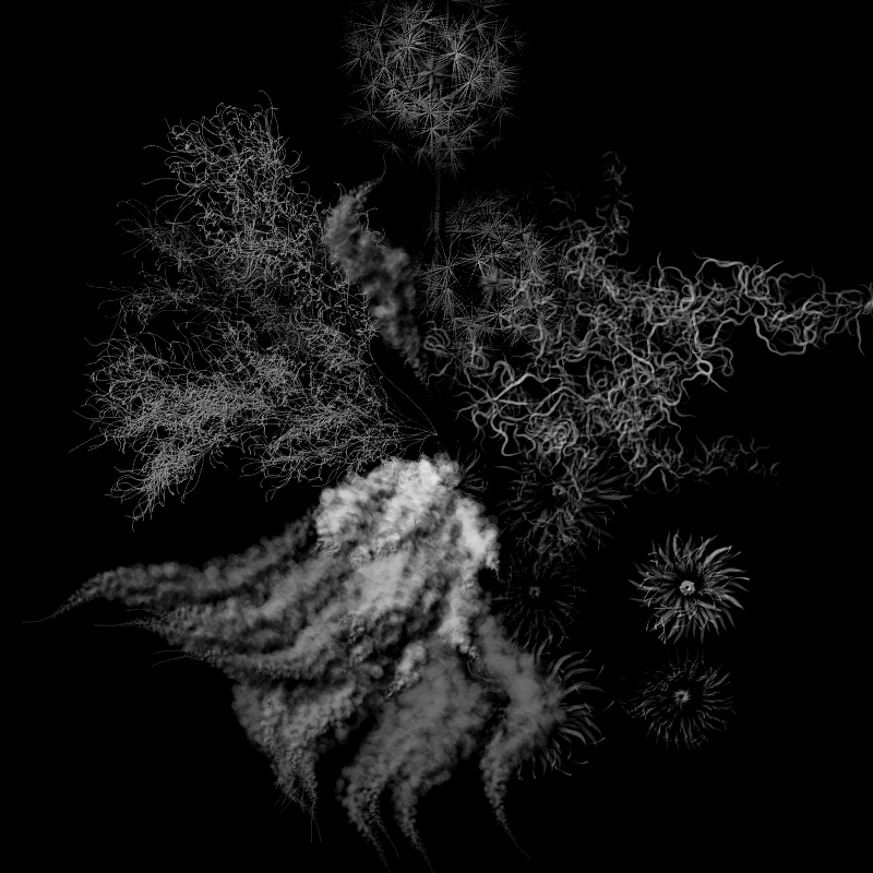 Botanical Ghosts #313