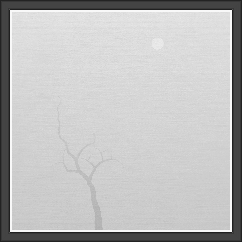 The Foggy Trees #115