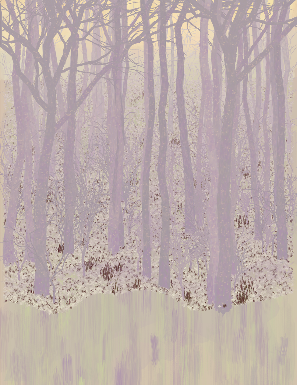 Deep Forest #207