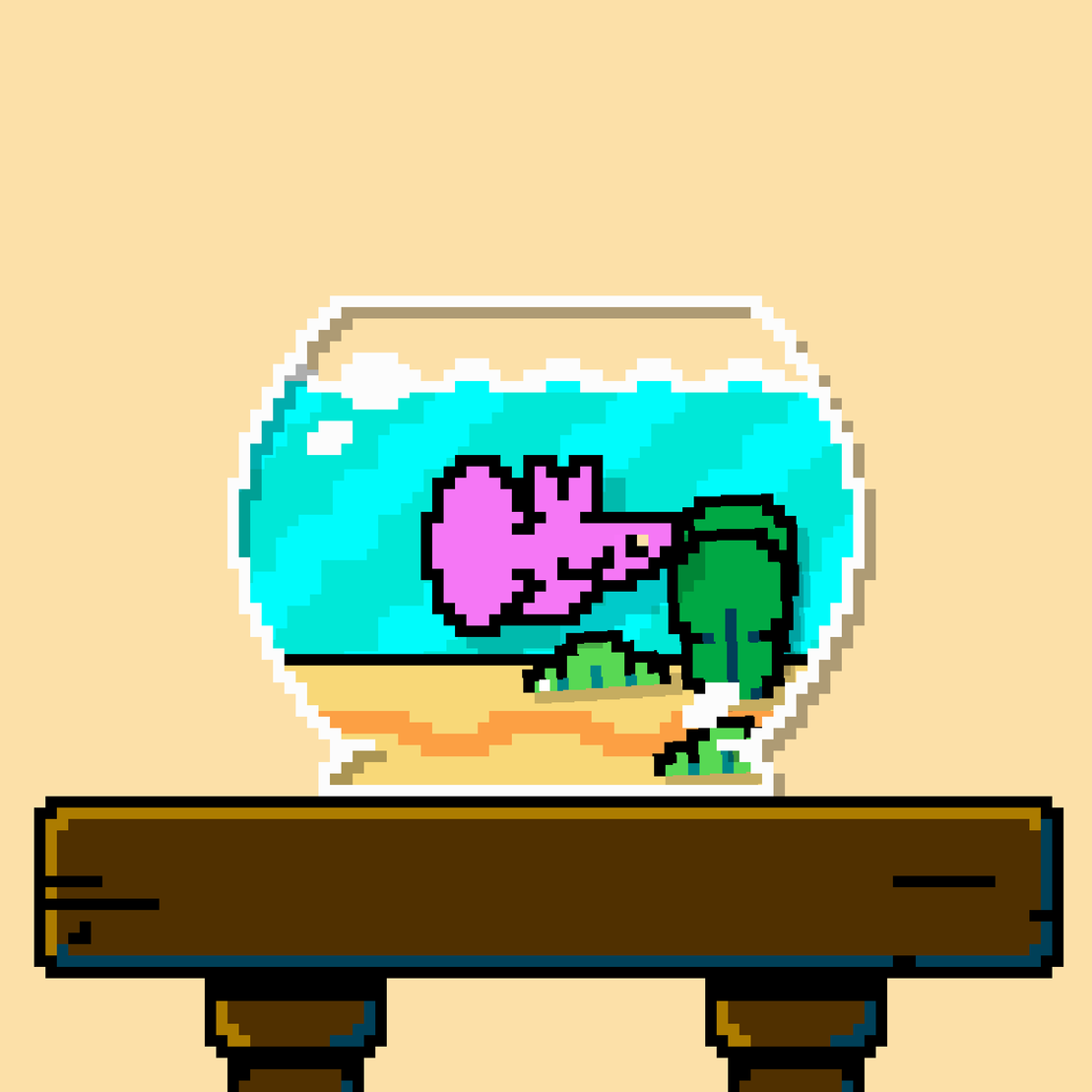 betta fish #426