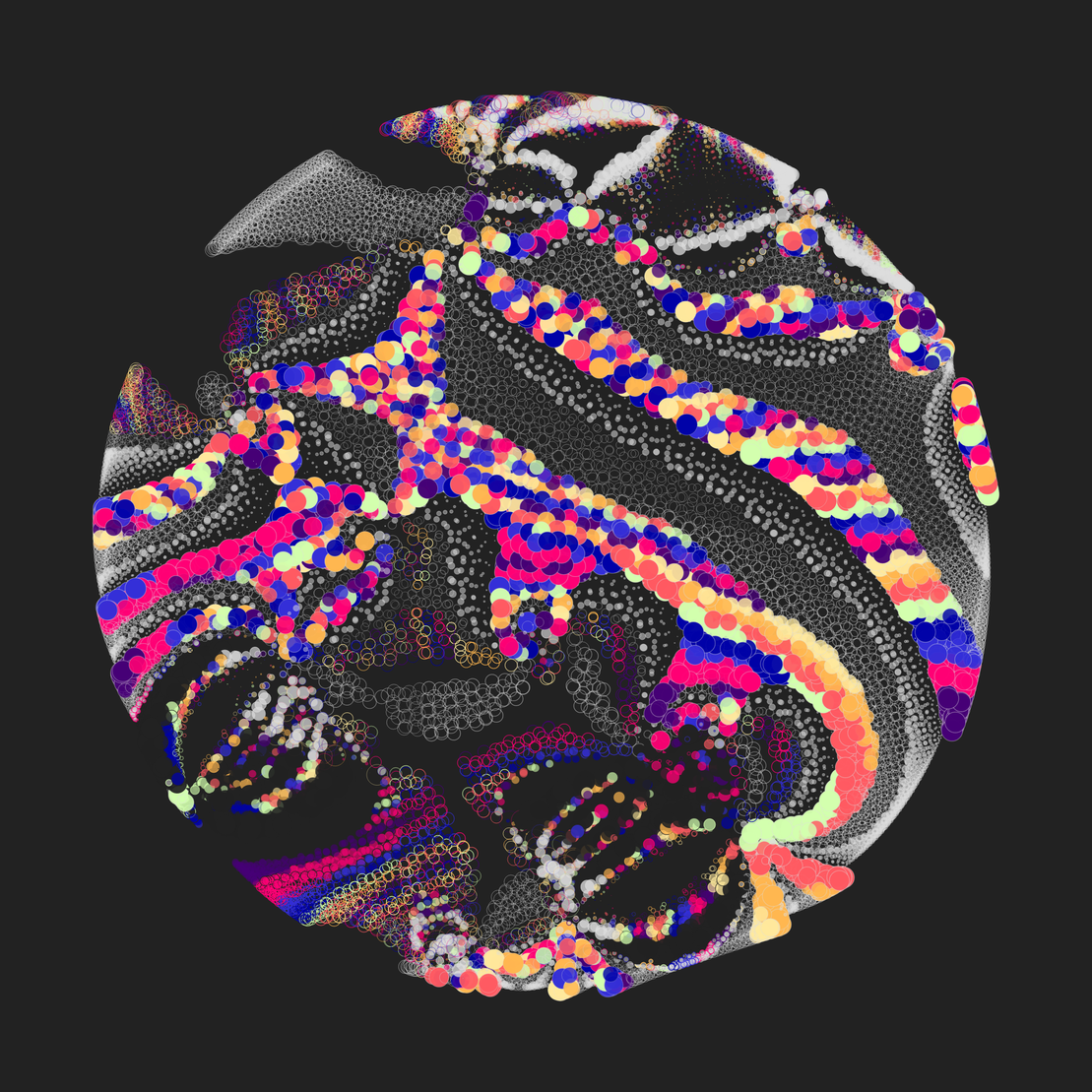 Still C #22015