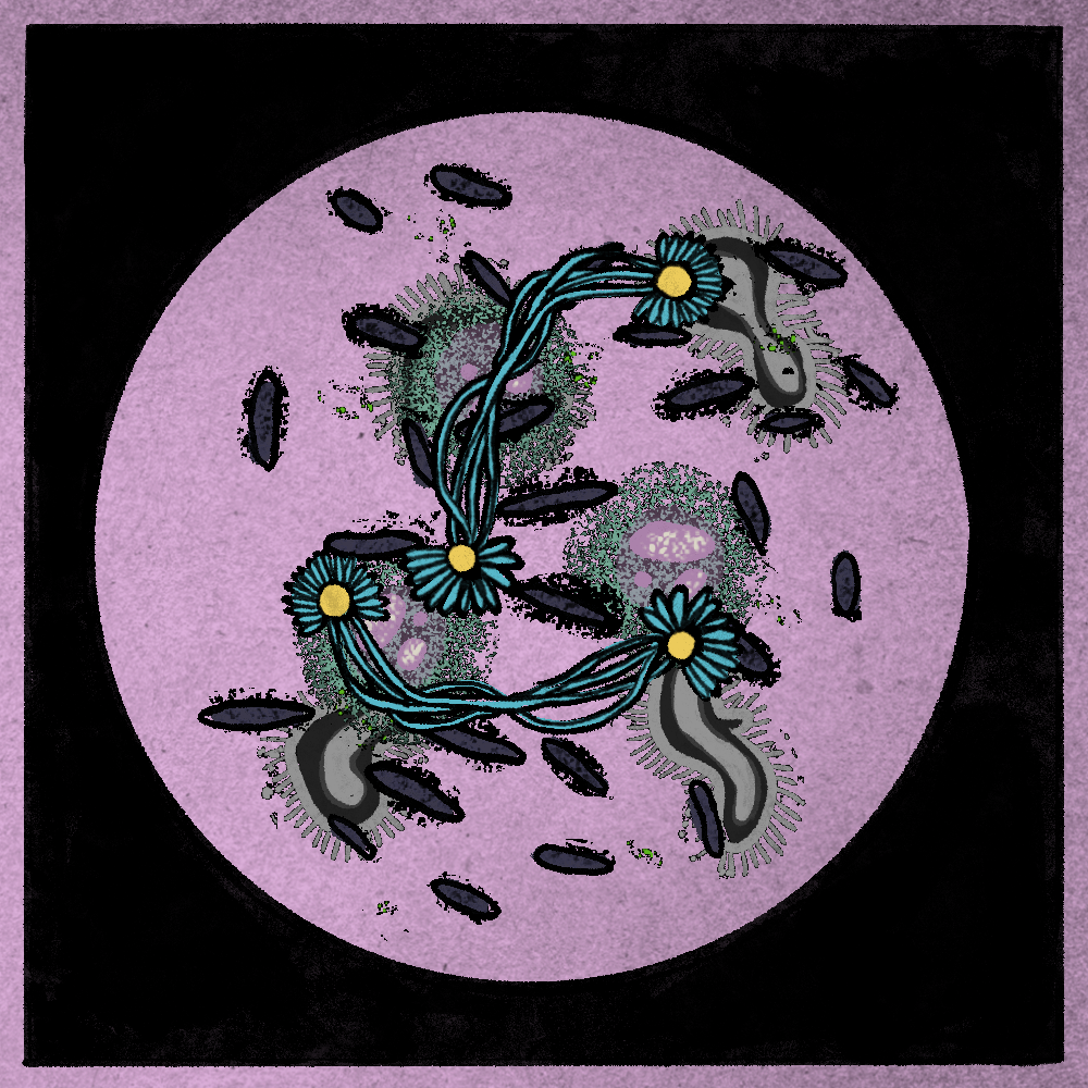 Microbes #113