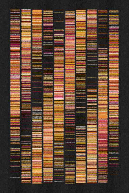 Sequence #344