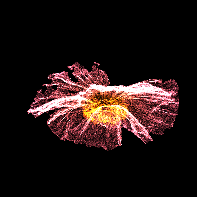 White Poppy 30 #113