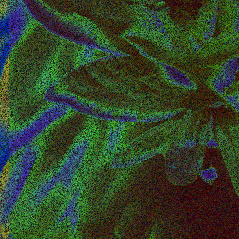 CLDCSMC #66