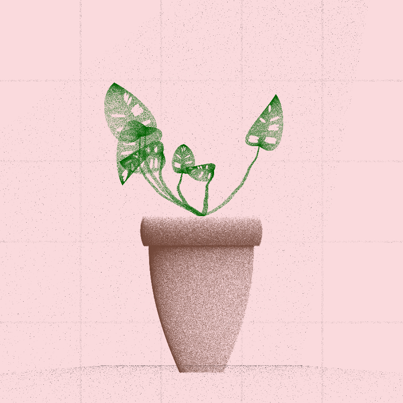 🌱 Potted & Printed #43