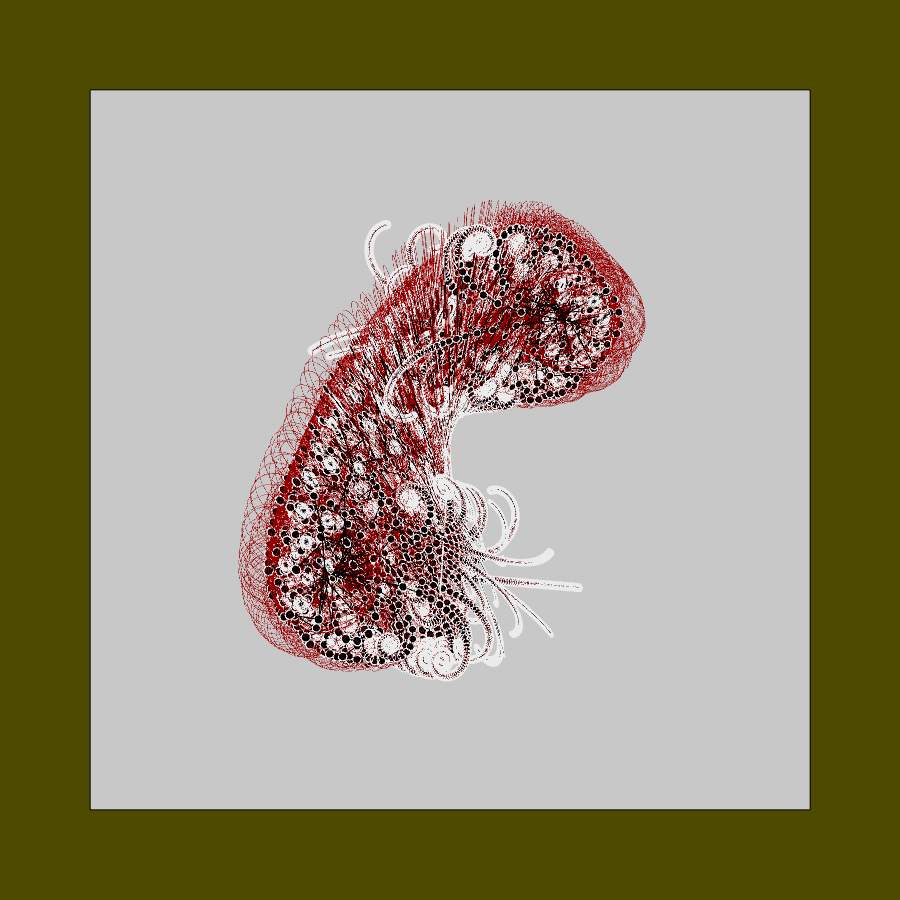 Portrait Of An Unknown Parasite #19