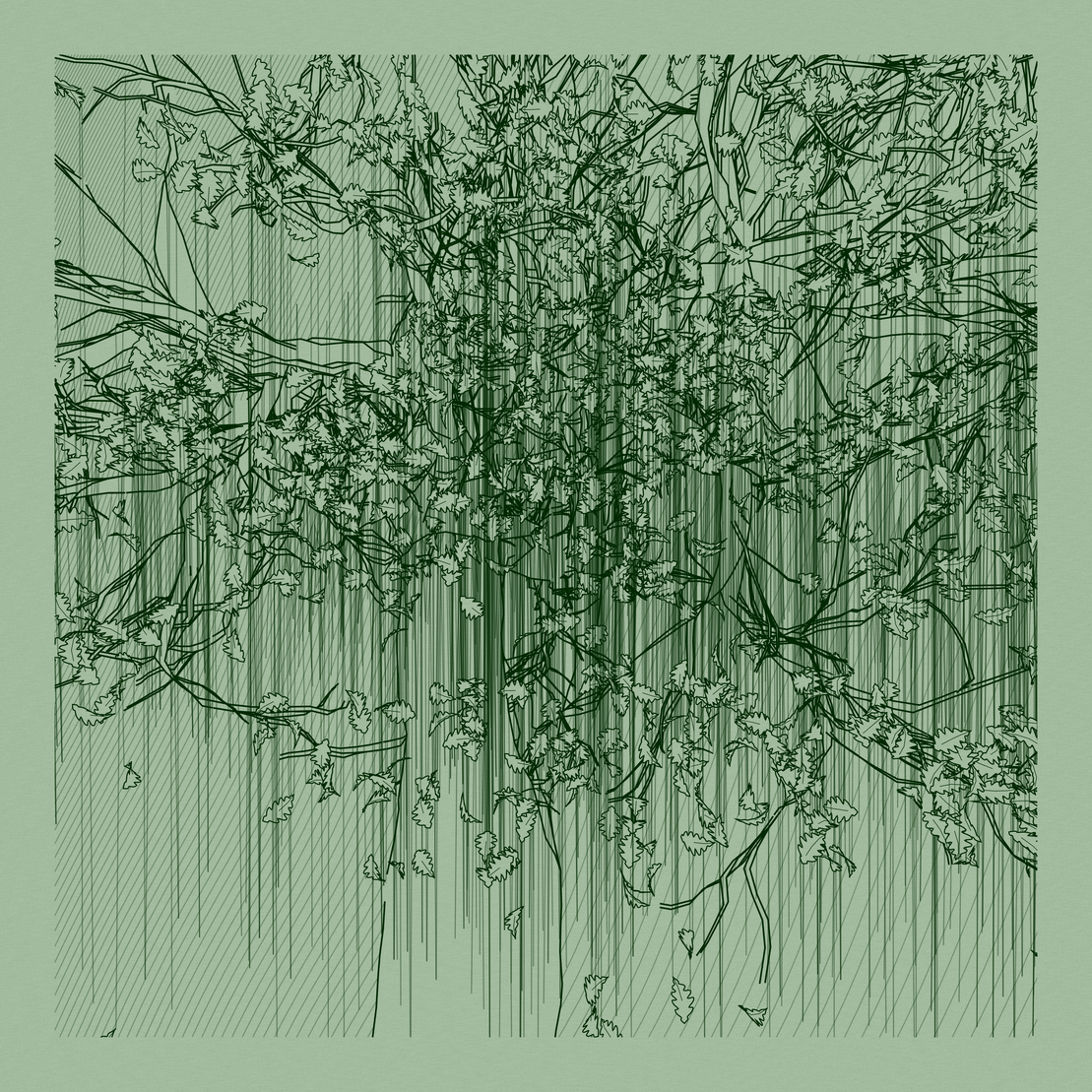 A Bugged Forest #536