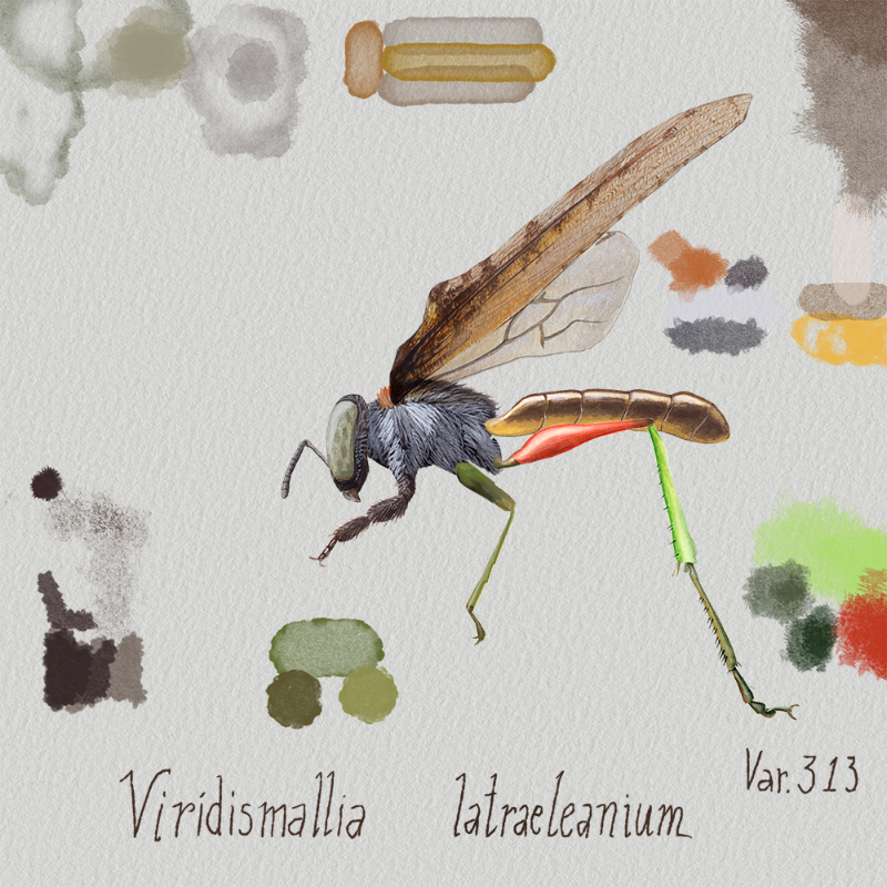 Randomic Brazilian Insects 1 #17
