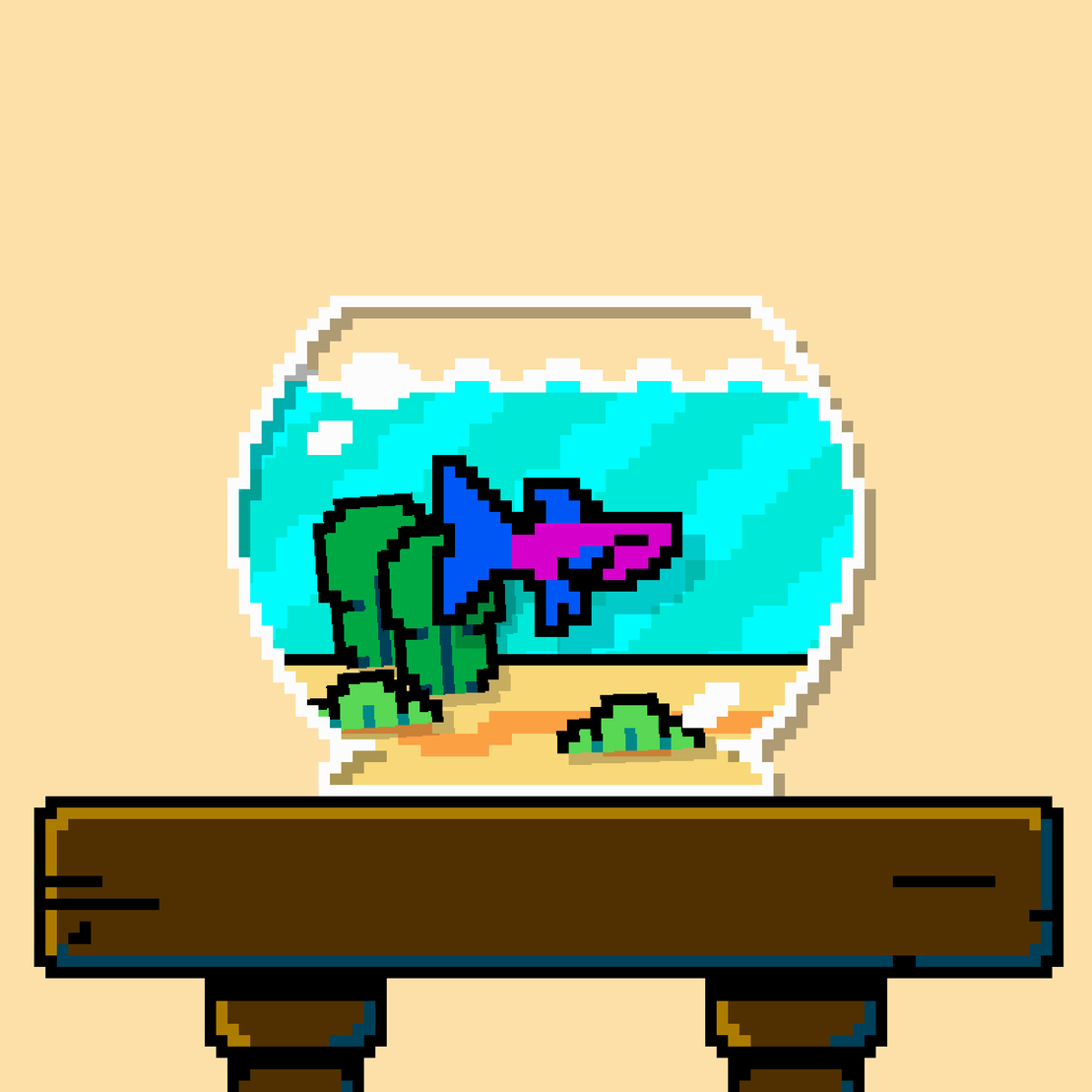 betta fish #310