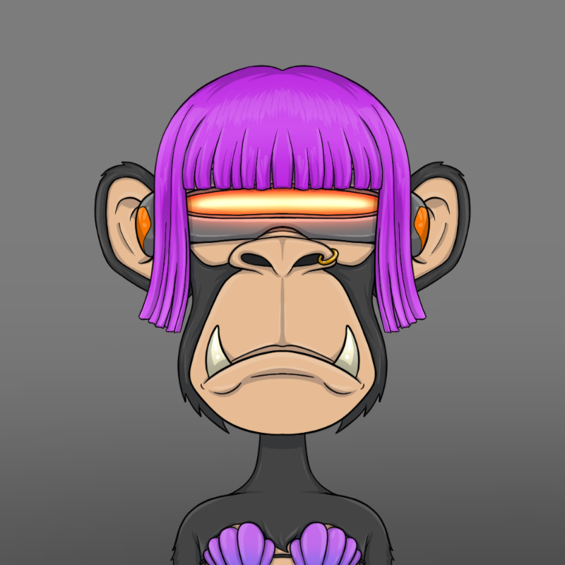 chimpantez #31