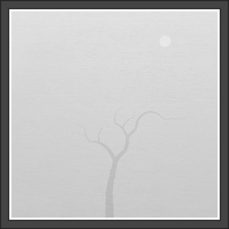 The Foggy Trees #73