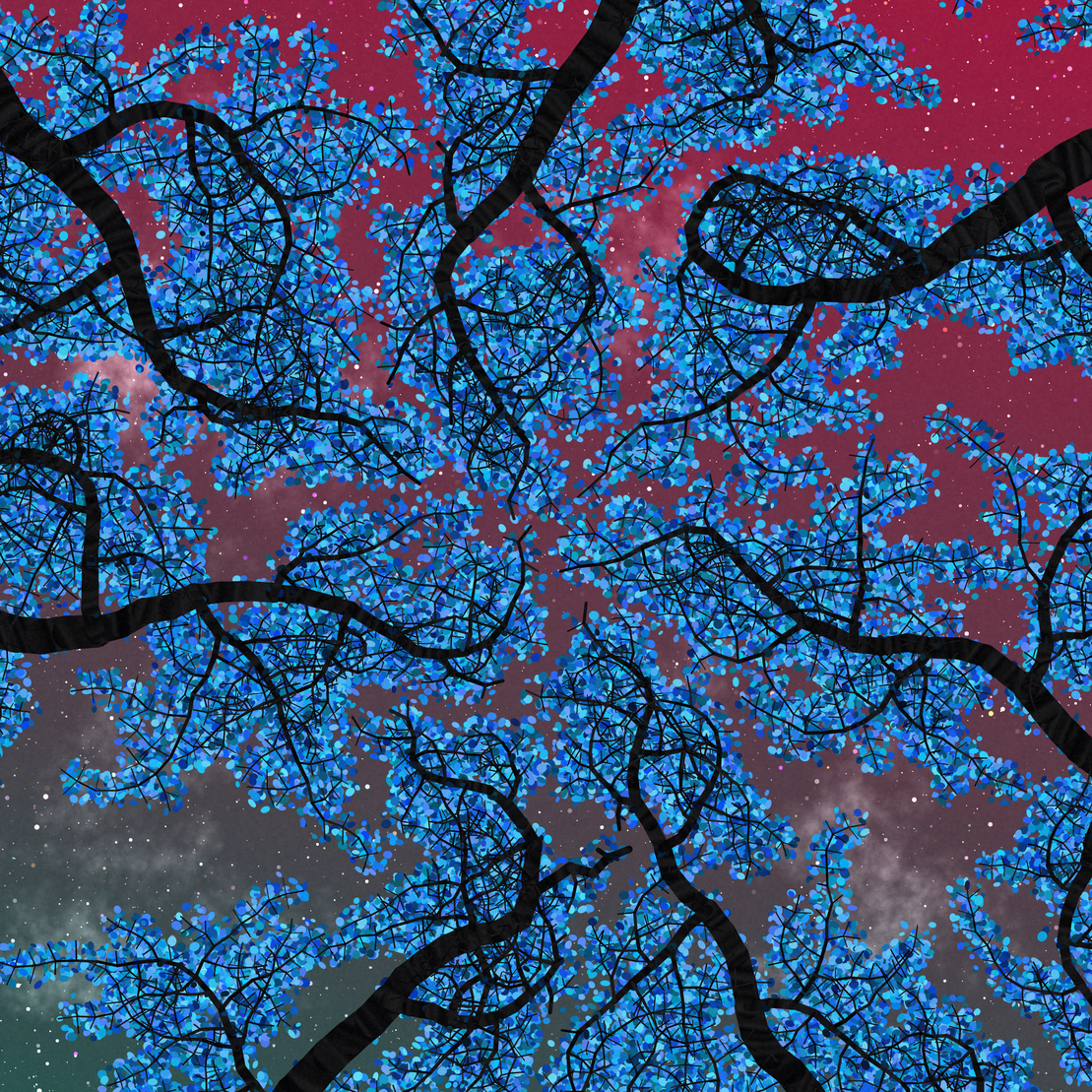 Tree Skyness #163