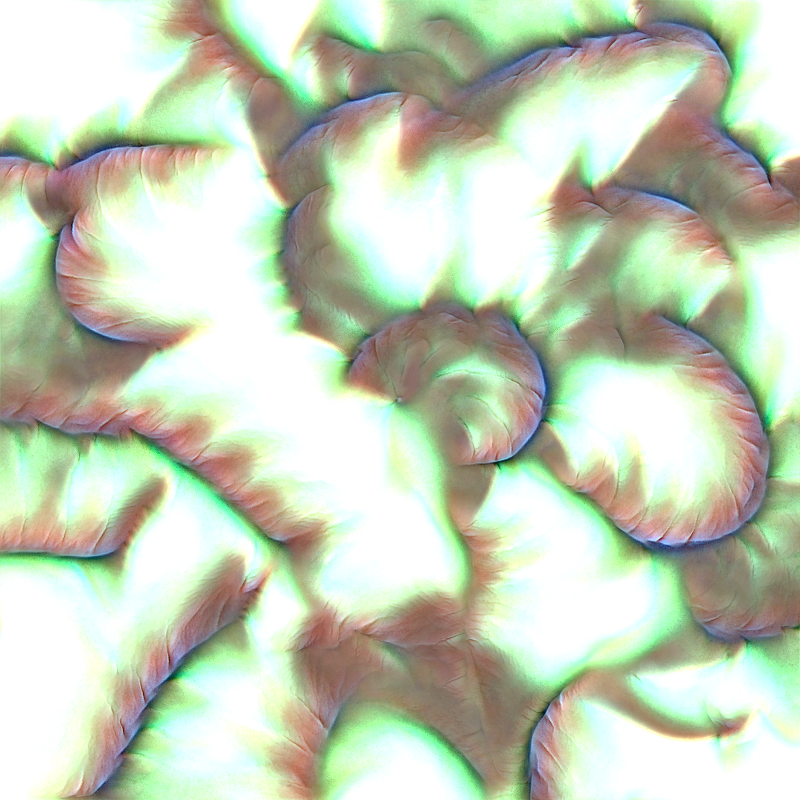 Genomes #2116