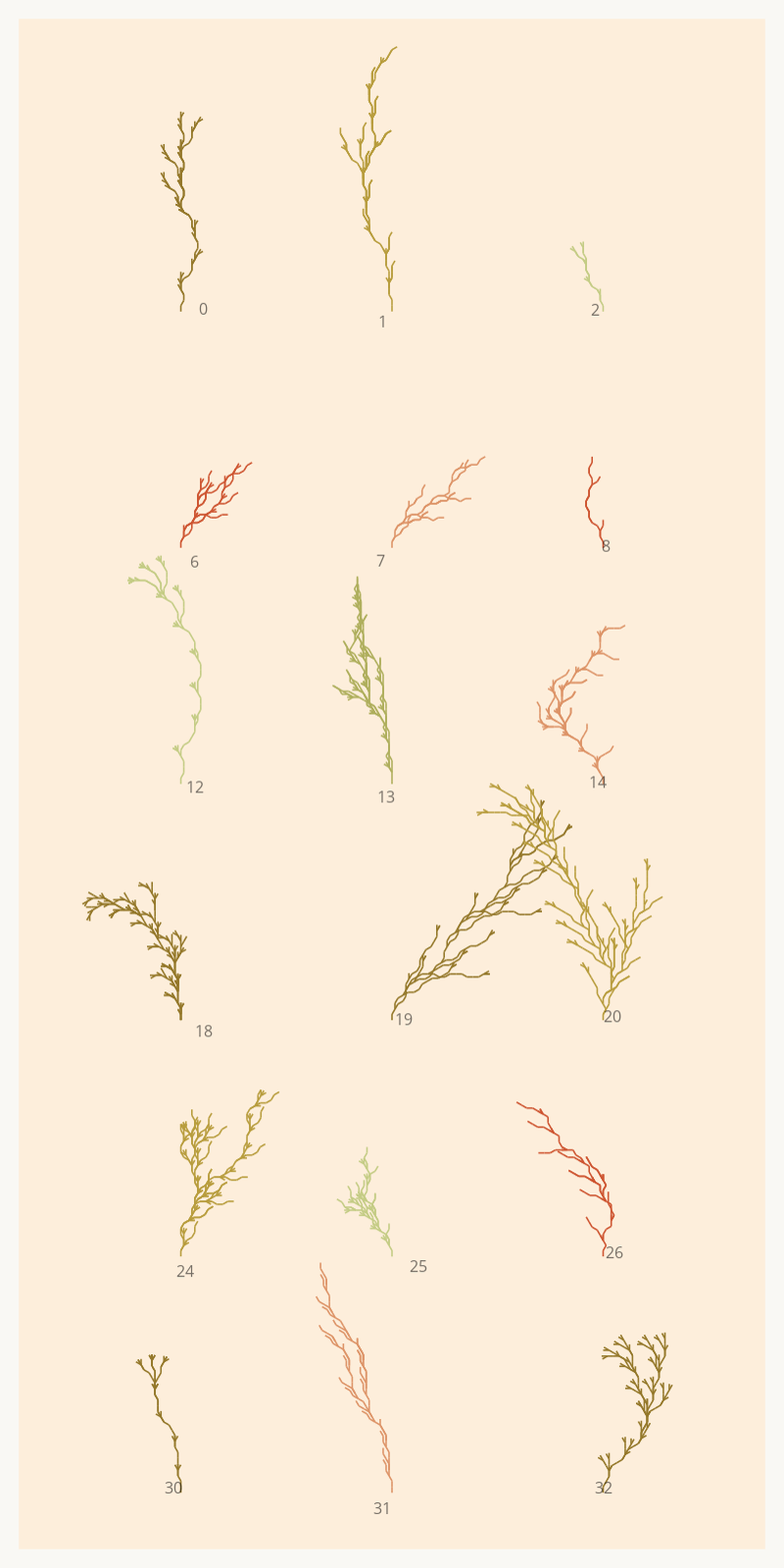 Seaweed Study #9