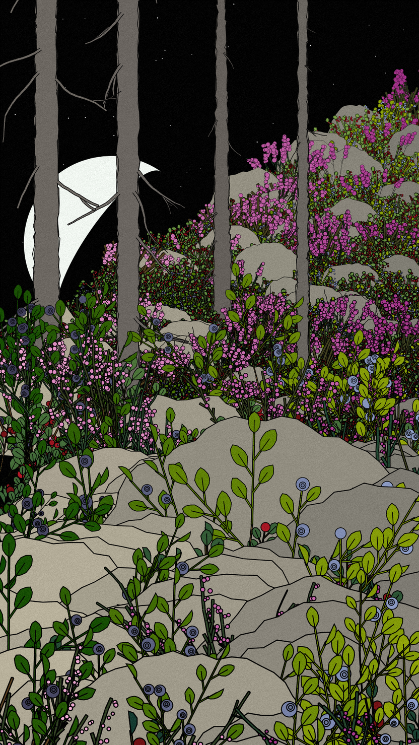 Swedish Forest #161