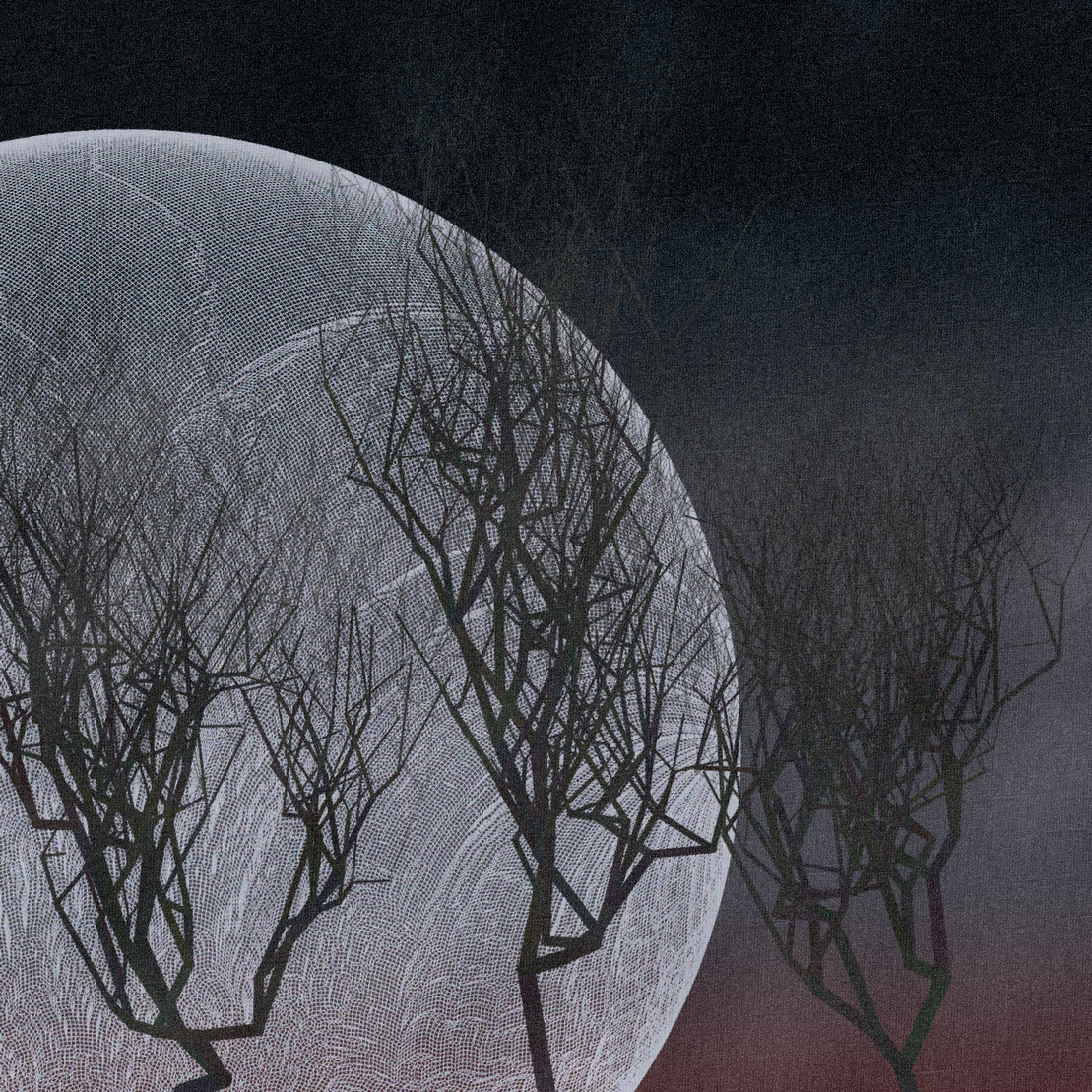 Three dead trees on earth #130
