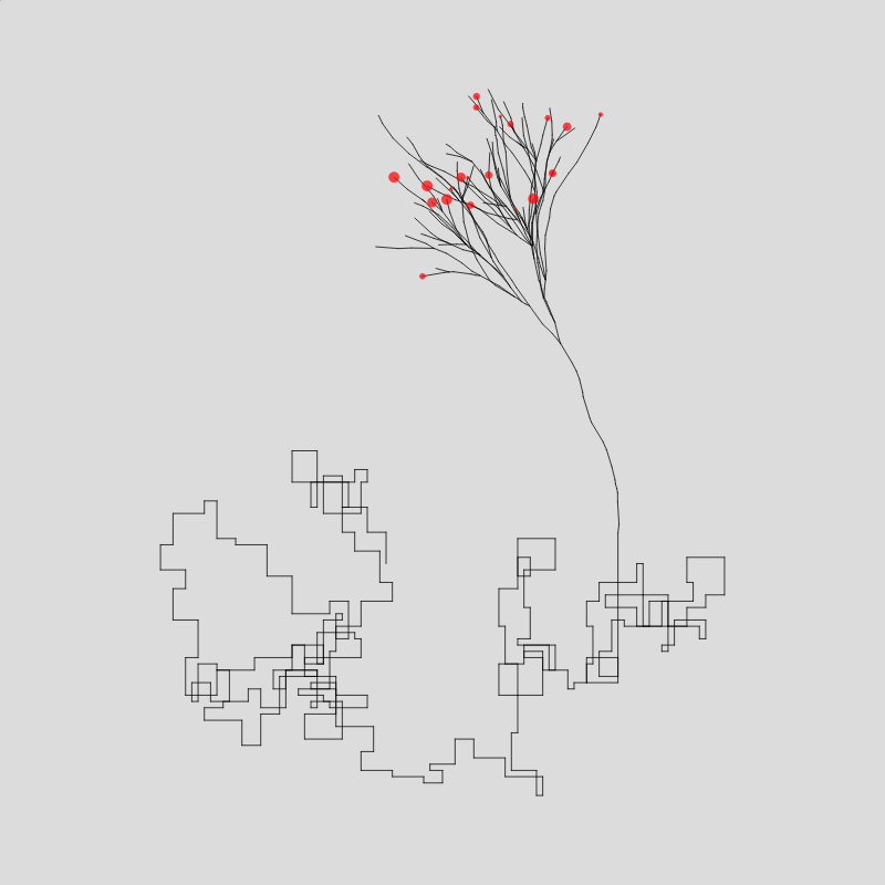 Algorithmic Tree #7