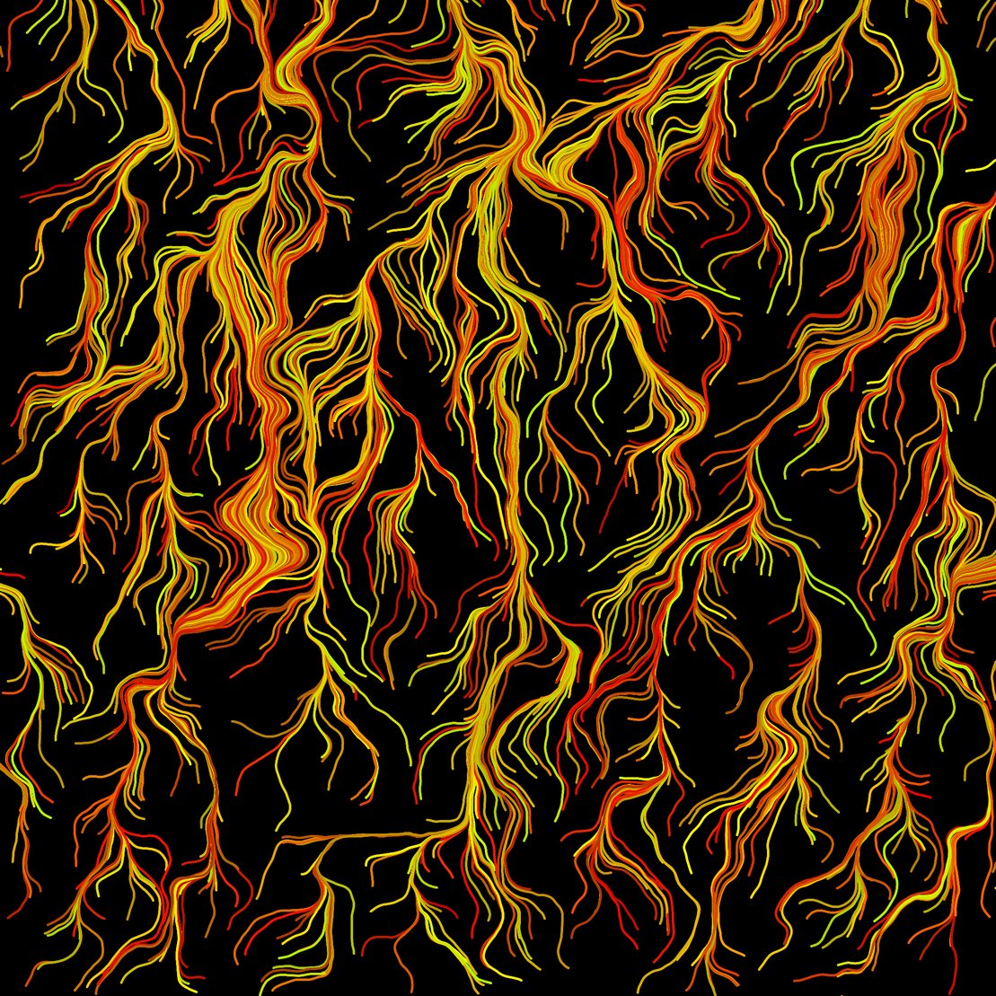 Convergence #1